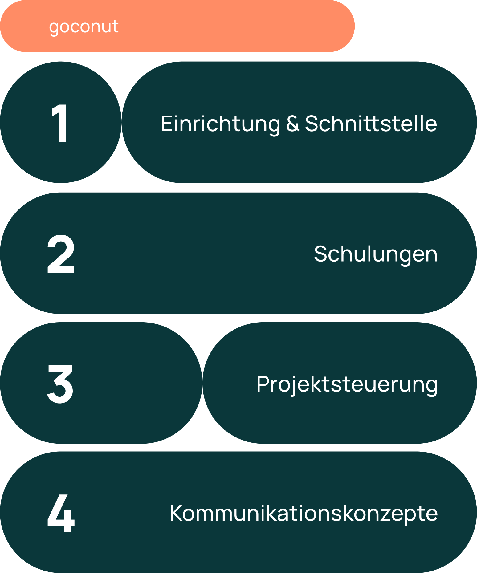 Schaubild mit verschiedenen aufeinanderfolgenden Schritten Einrichtung & Schnittstelle Schulungen Projektsteuerung Kommunikationskonzepte