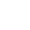 A black and white image of a pixel.