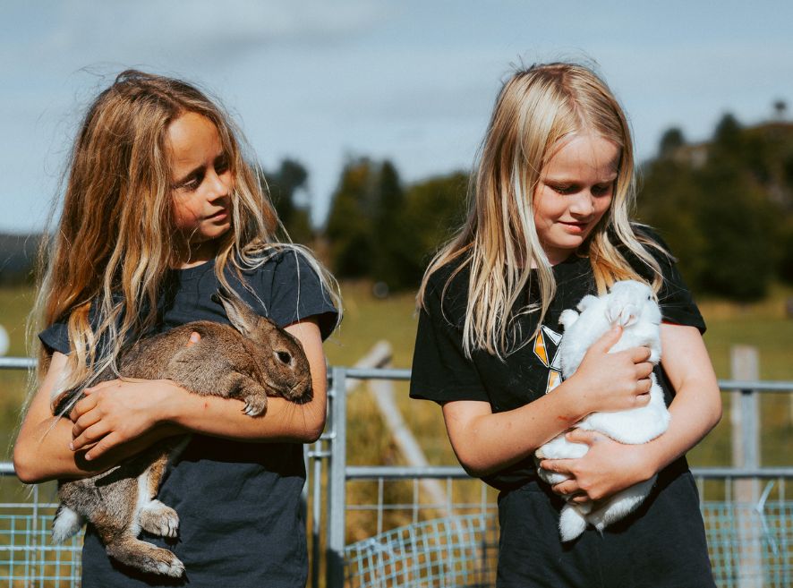 Illustrasjon til blogginnlegg om lokale bedrifters naturlige fortrinn i innholdsmarkedsføring