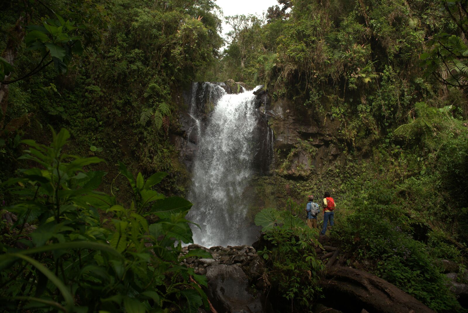 image of an exotic destination landscape (for a travel tech)