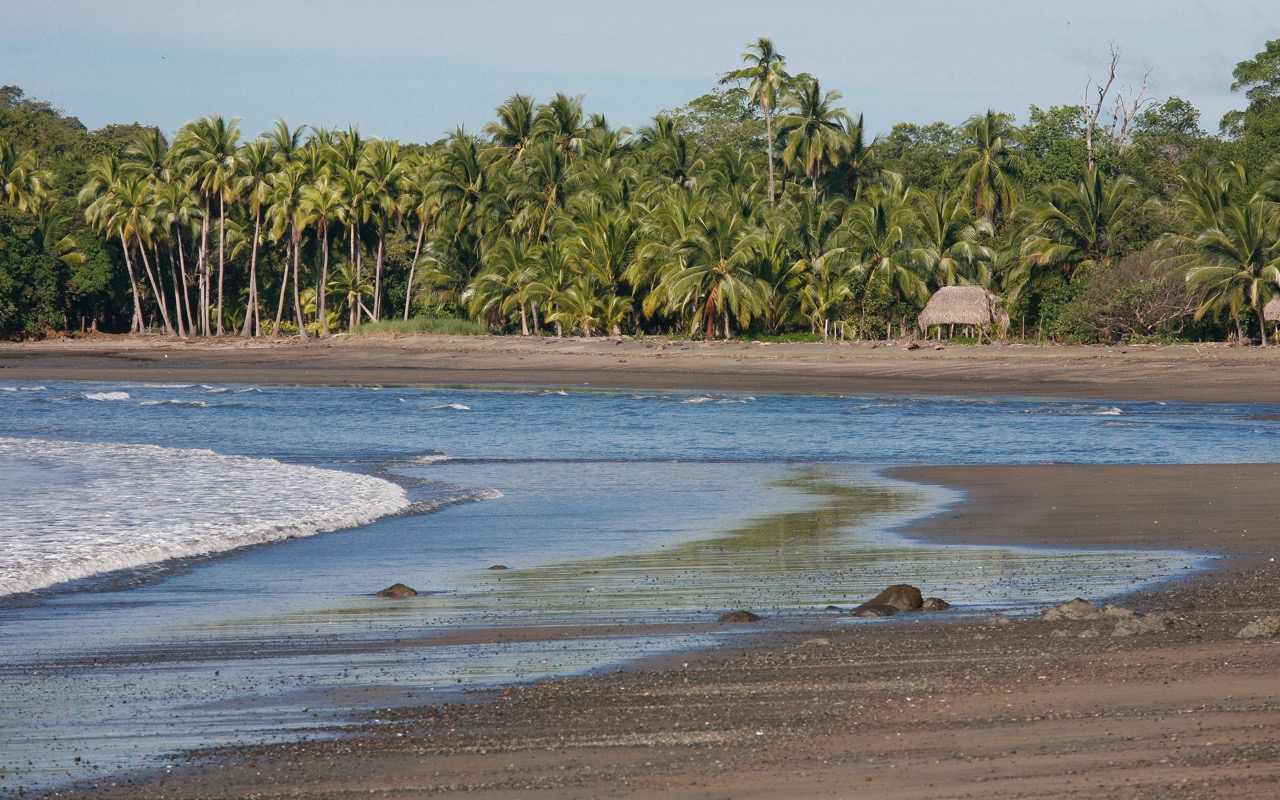 image of an exotic destination landscape (for a travel tech)