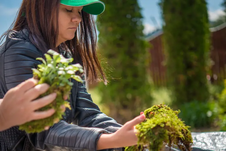 Femme portant une casquette verte tenant des plantes avec de la mousse, en extérieur.