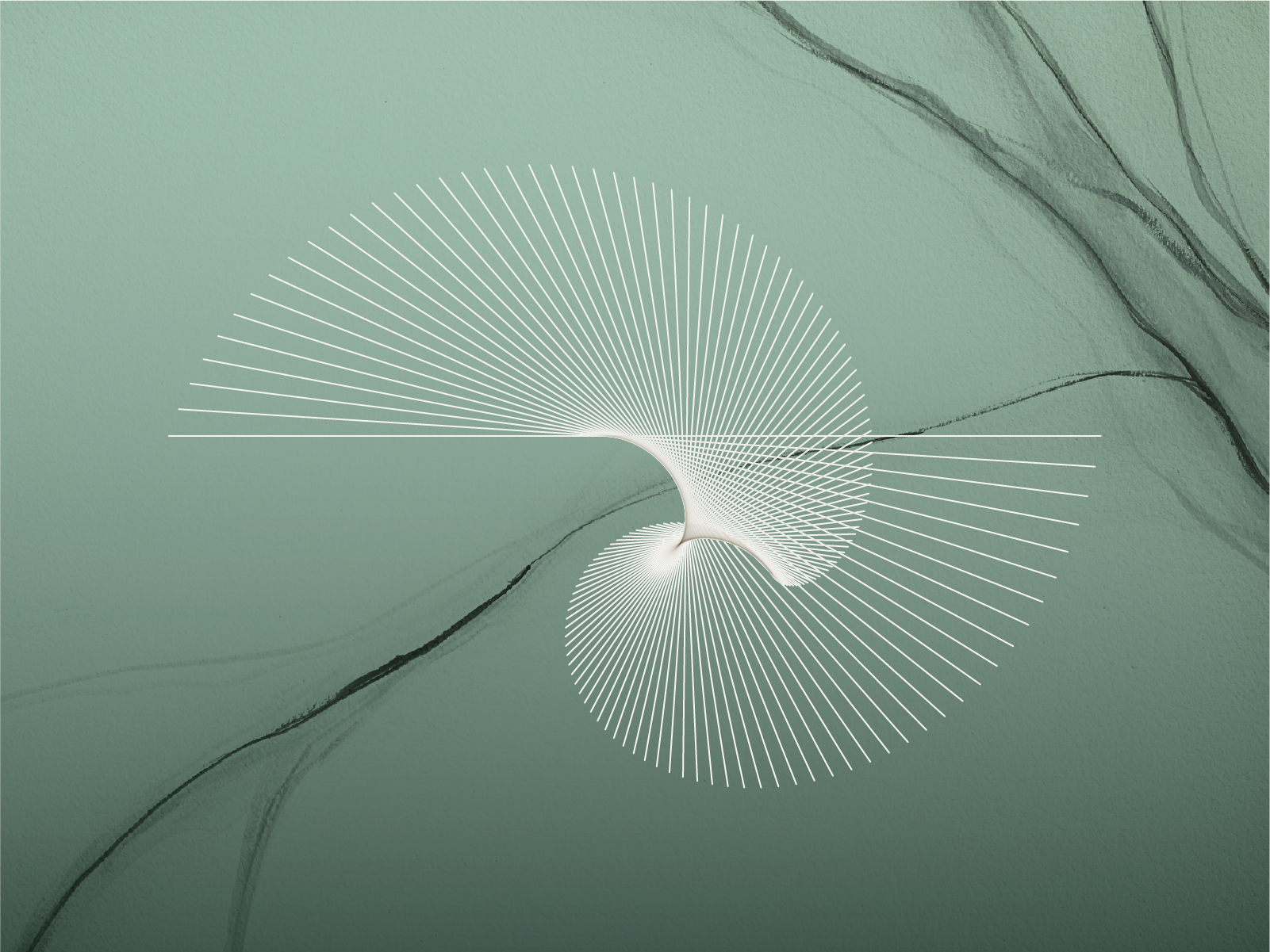 The Meridian profile icon.