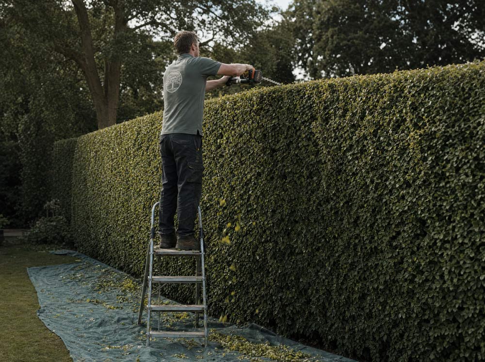 Hedge Trimming in Suffolk | Suffolk Garden Maintenance