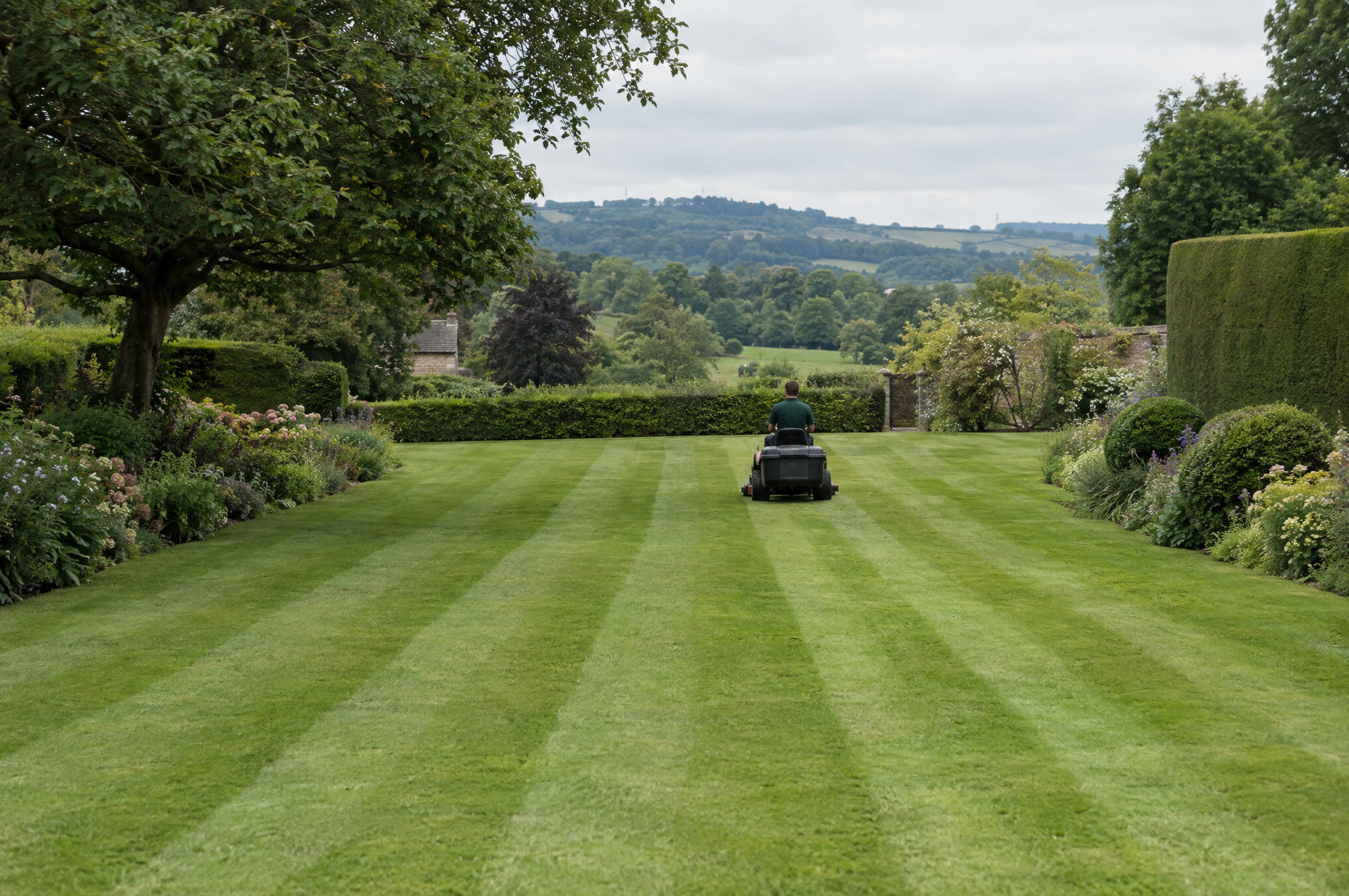 Gardener mowing a large country garden lawn with fresh stripes laid behind the mower