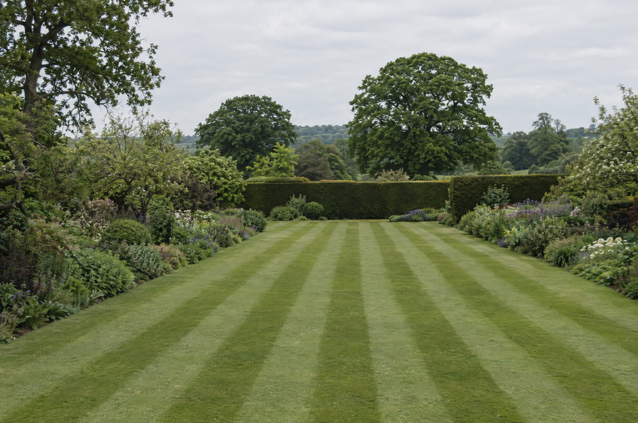 Lawn Mowing and Grass Cutting in Suffolk | Lawn Cuts