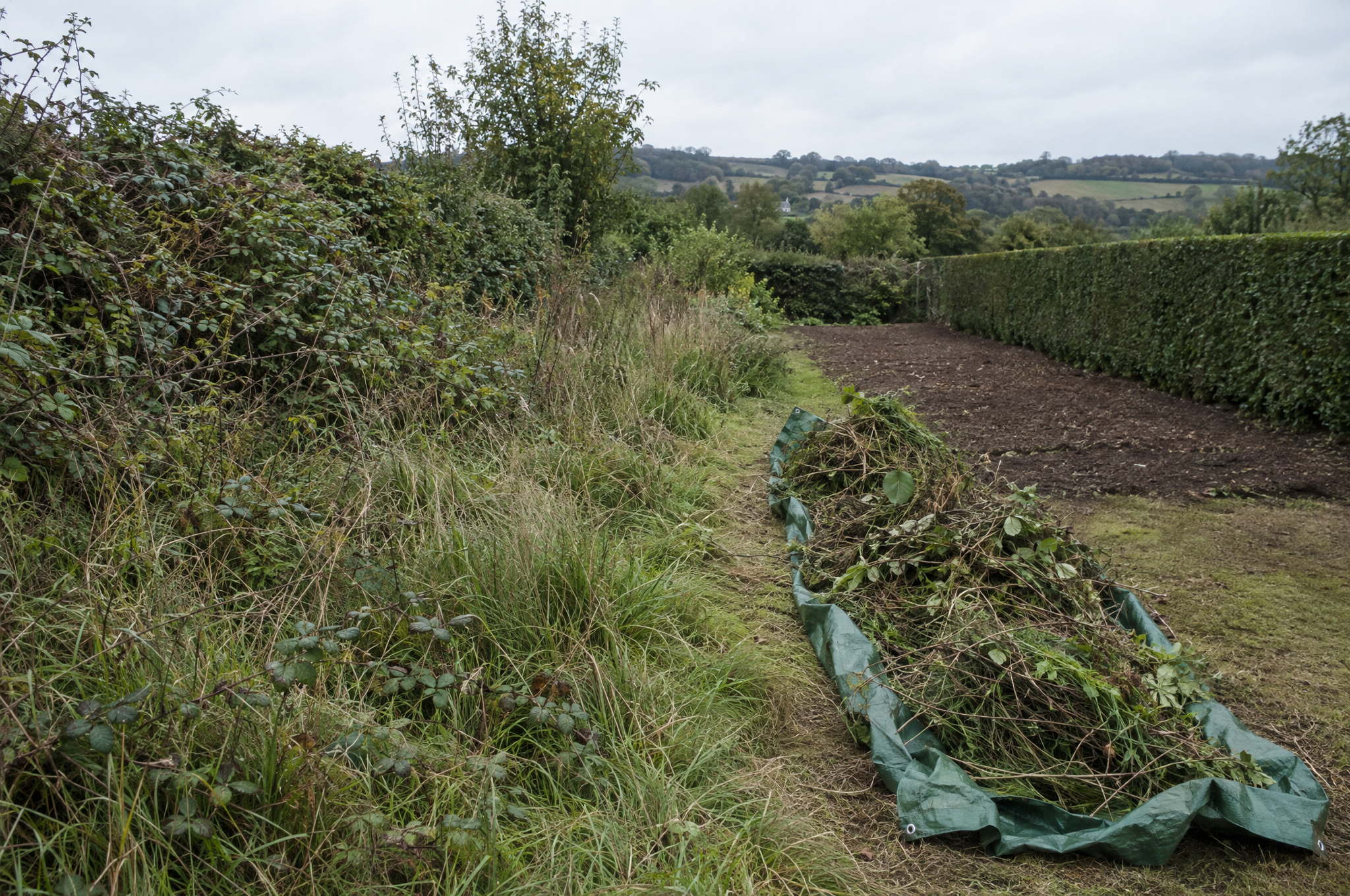 Garden Clearance in Suffolk | One Off Garden Clean Ups