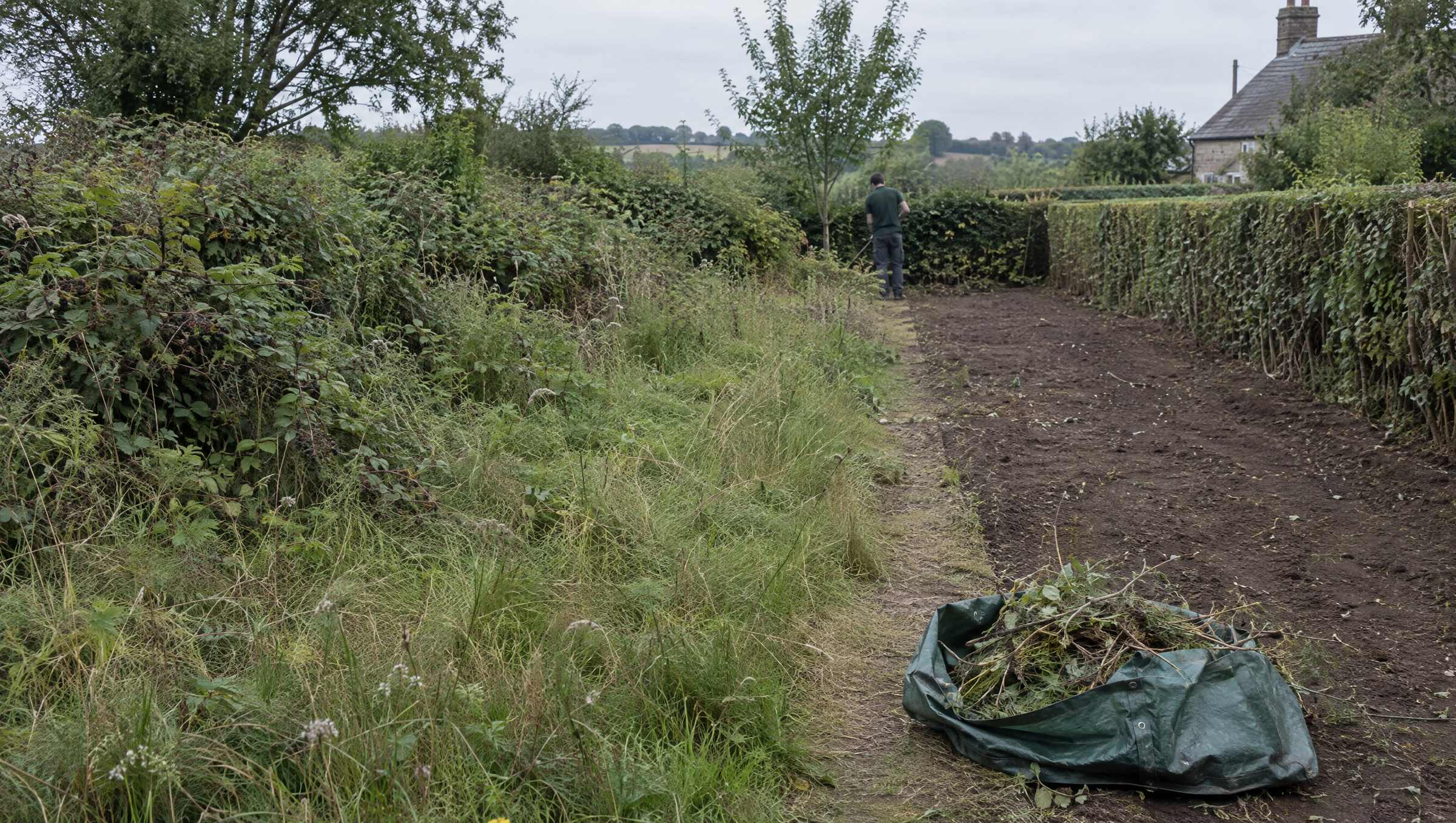 Overgrown country garden part way through a reset, one half cleared to clean soil and cut back, the other still rough with long grass and bramble