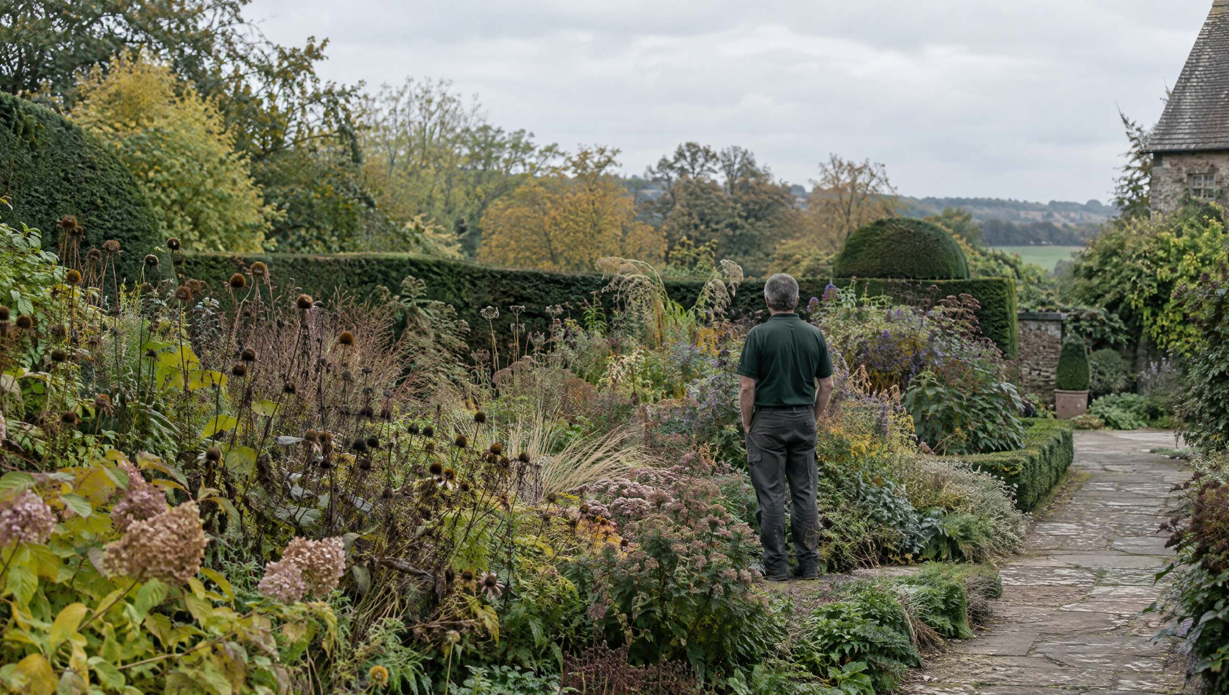 Gardener looking over a deep mixed border in an established country garden in early autumn