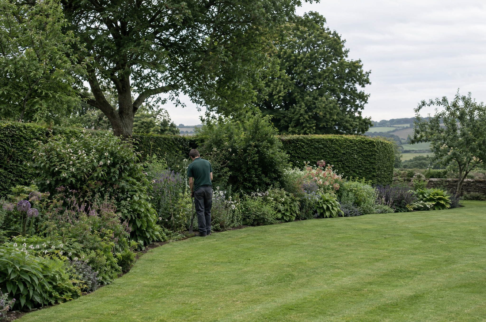 Gardener edging a border against the lawn in an established country garden