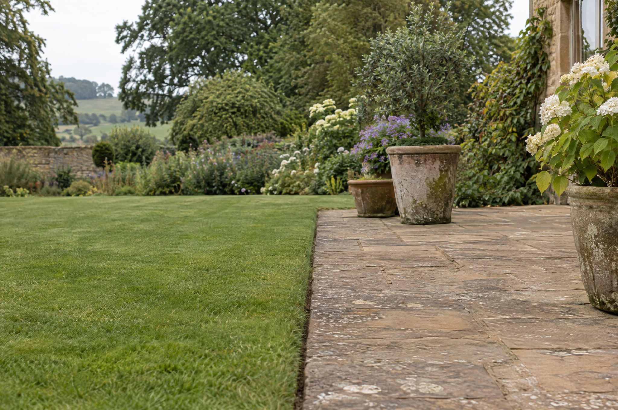 Crisp cut lawn edge where the grass meets York stone paving