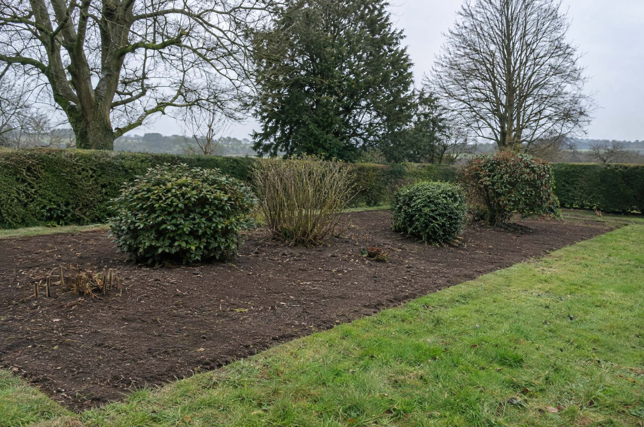 Bed cleared back to clean soil with the structure of the garden reappearing
