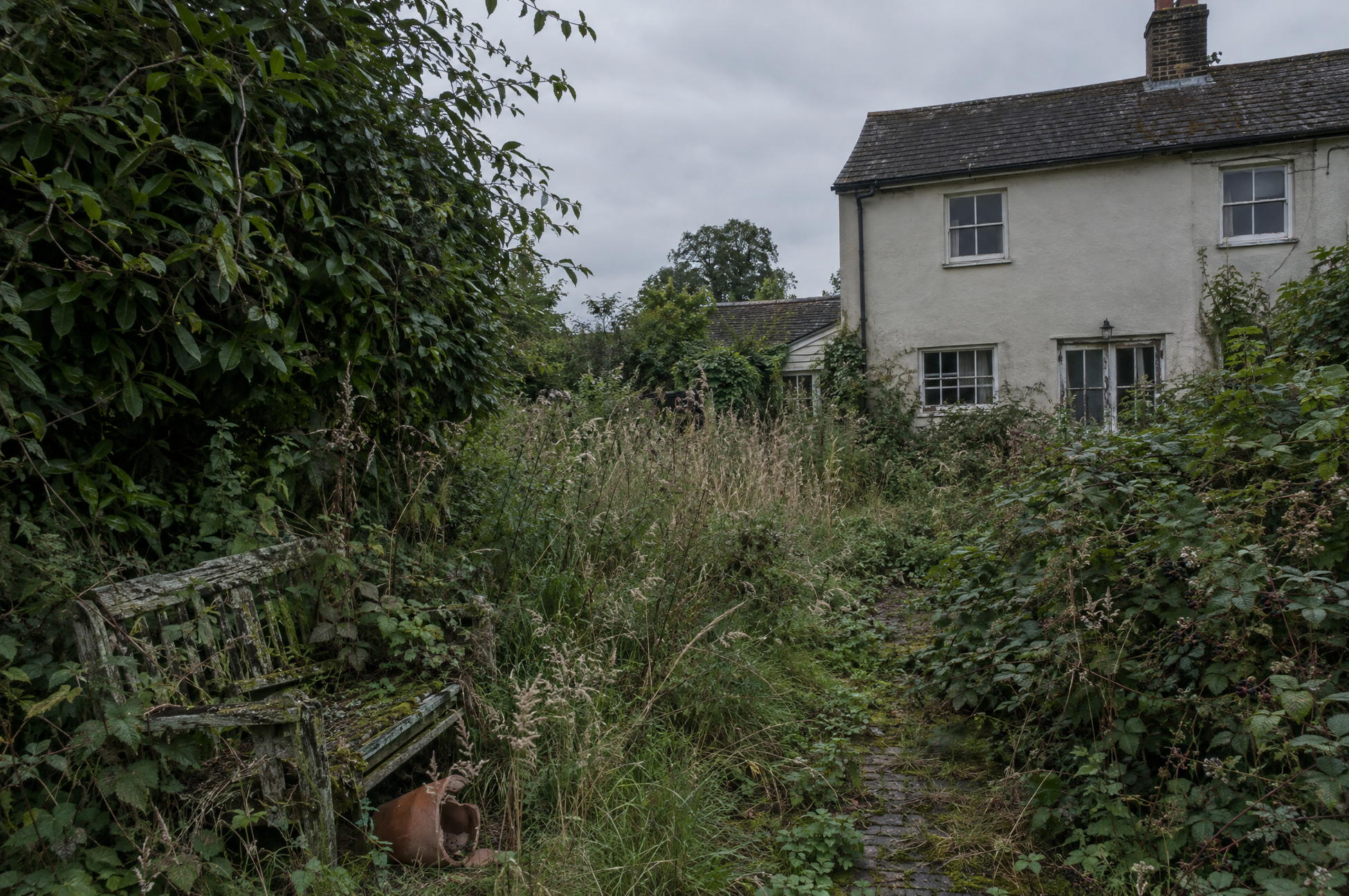 Neglected country garden before a reset, with rank grass, bramble and an overgrown hedge covering the beds and paths