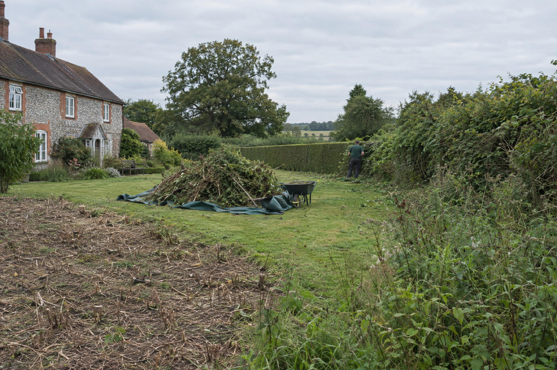 Garden clearance under way, with a tarpaulin of arisings on the cut grass and one run of hedge taken back to a clean line