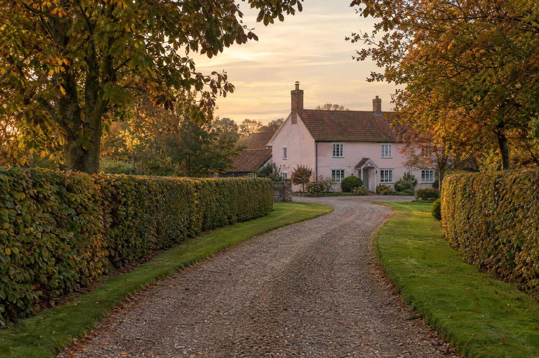 Gravel drive running between long clipped beech hedges to a pink washed Suffolk farmhouse in autumn