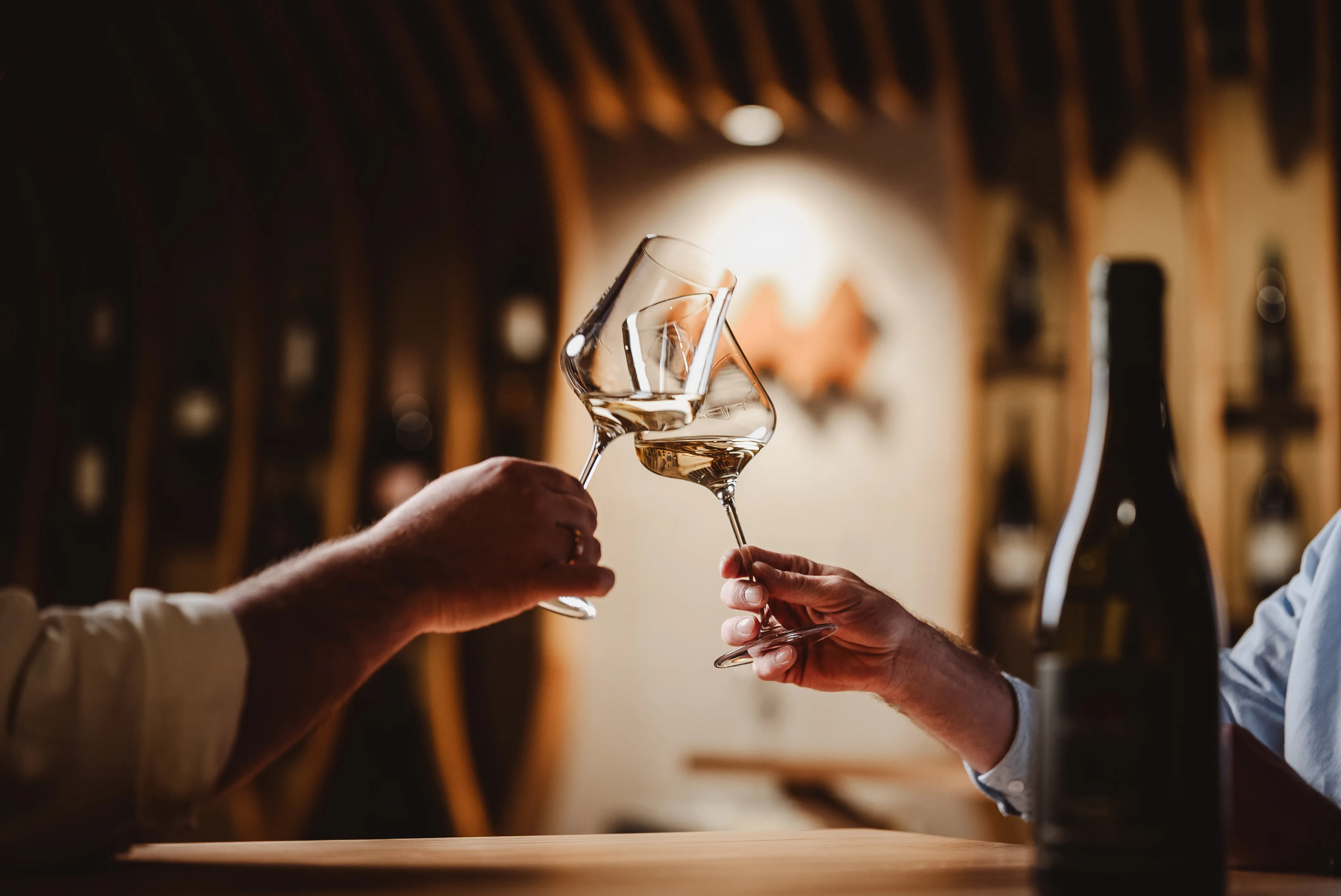 Two people clinking wine glasses filled with white wine in a warmly lit room.