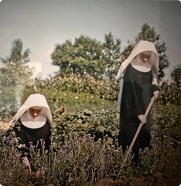 Two nuns dressed in black habits and white wimples gardening outdoors with plants and flowers around them.