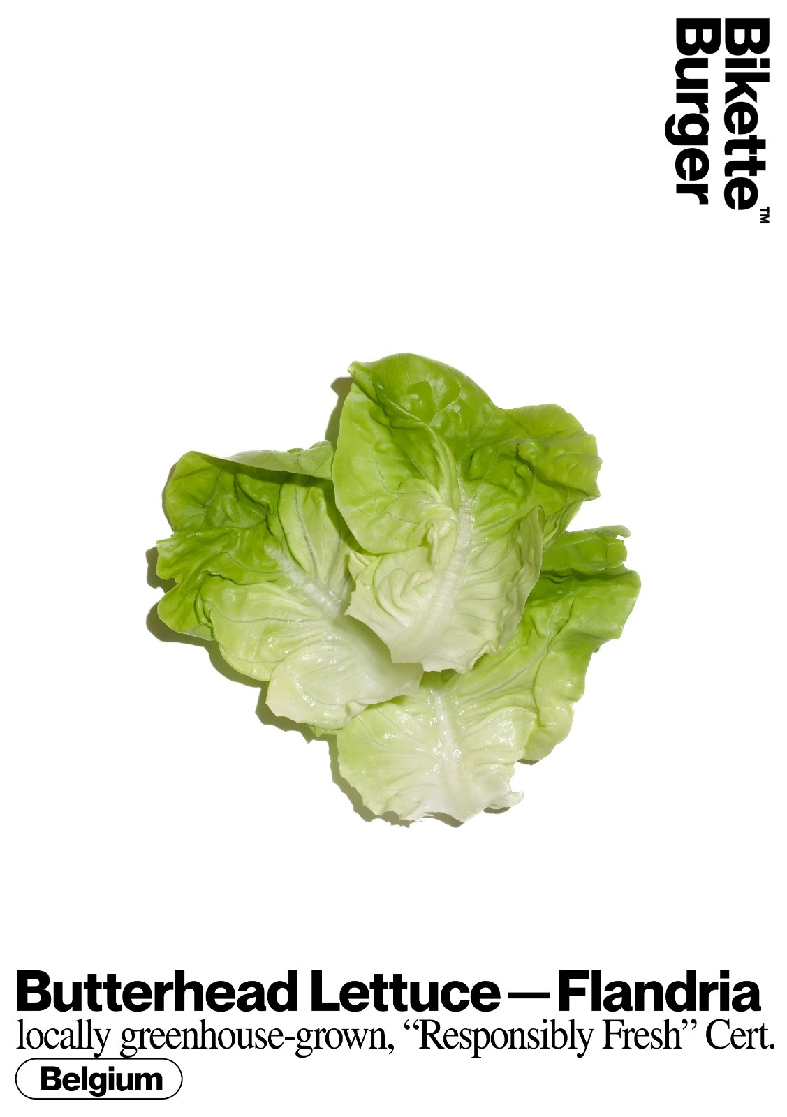 Lettuce