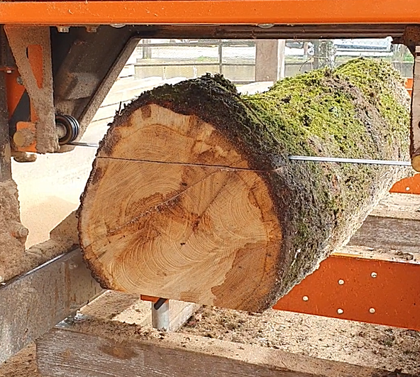 Pourquoi choisir le bois massif pour vos projets : guide complet