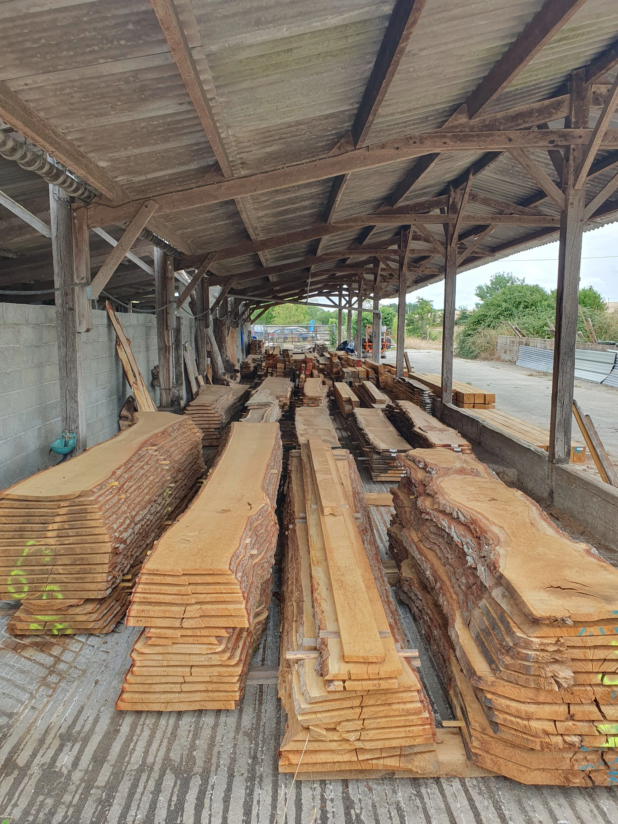Planche bois brut : utilisations et astuces de choix
