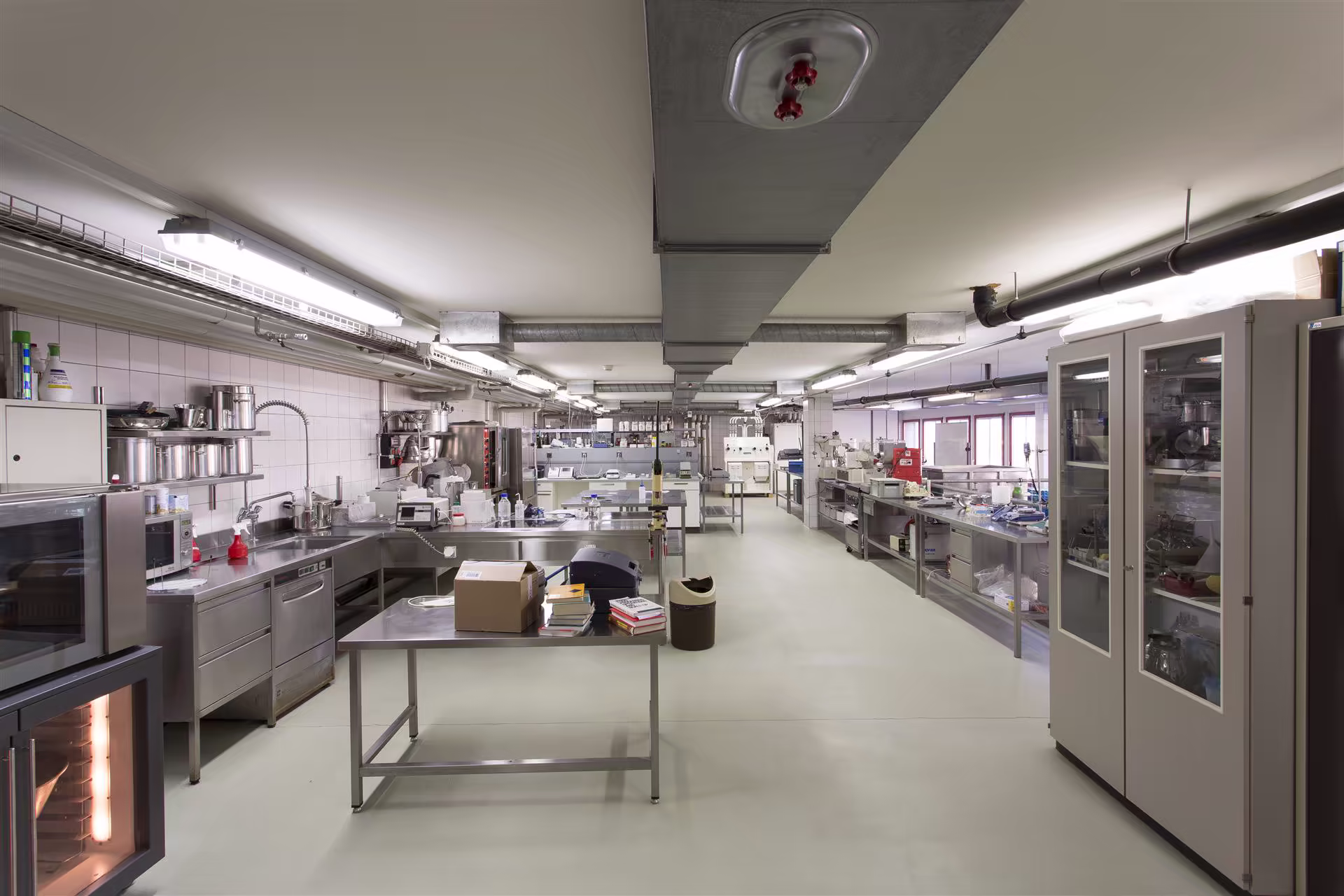 Laboratoire moderne et spacieux avec plans de travail en inox, équipements variés et rangements, éclairage fluorescent et sol clair.