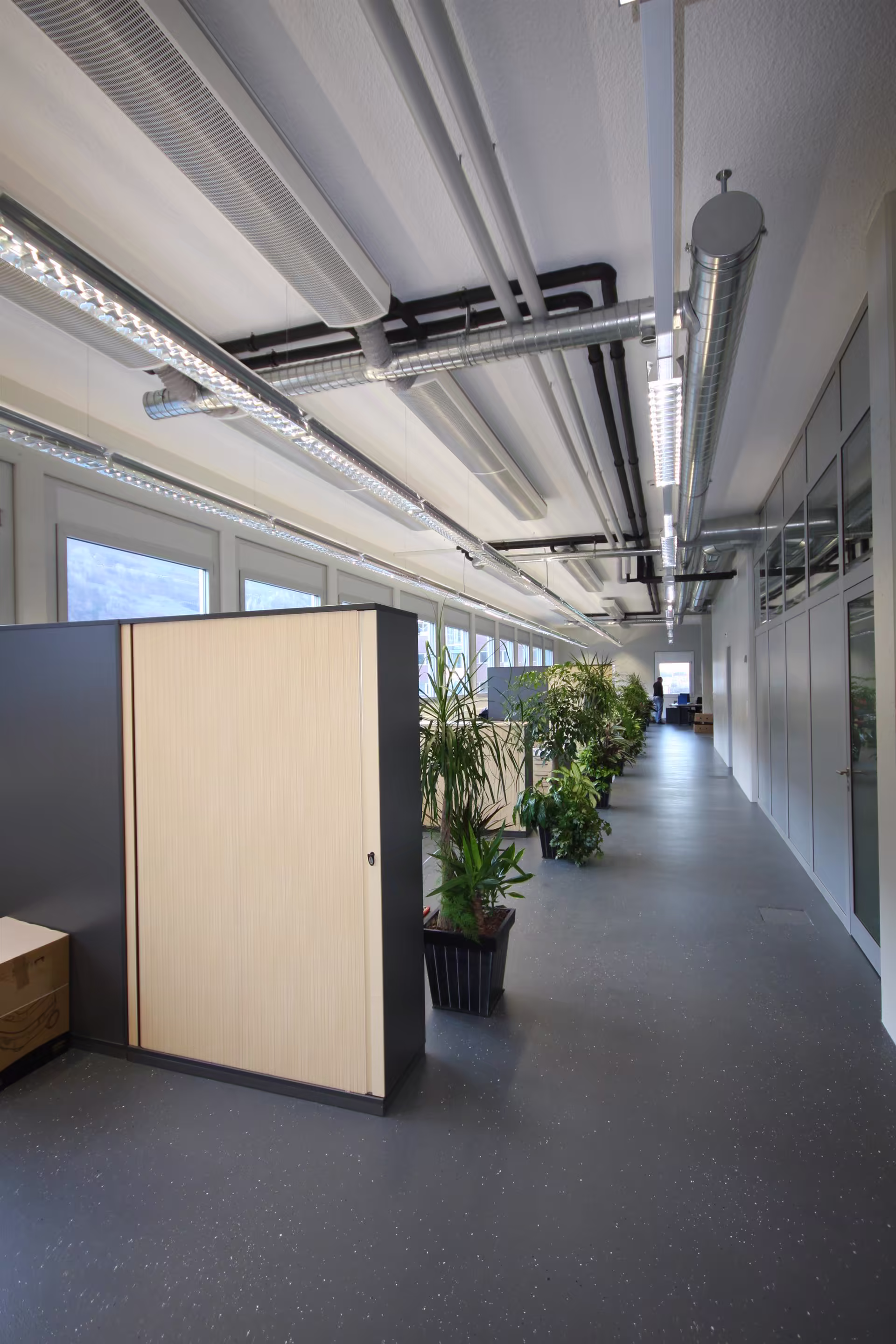 Couloir lumineux de bureau avec placards, plantes vertes alignées, grandes fenêtres à gauche et murs vitrés à droite sous plafond technique avec gaines apparentes.