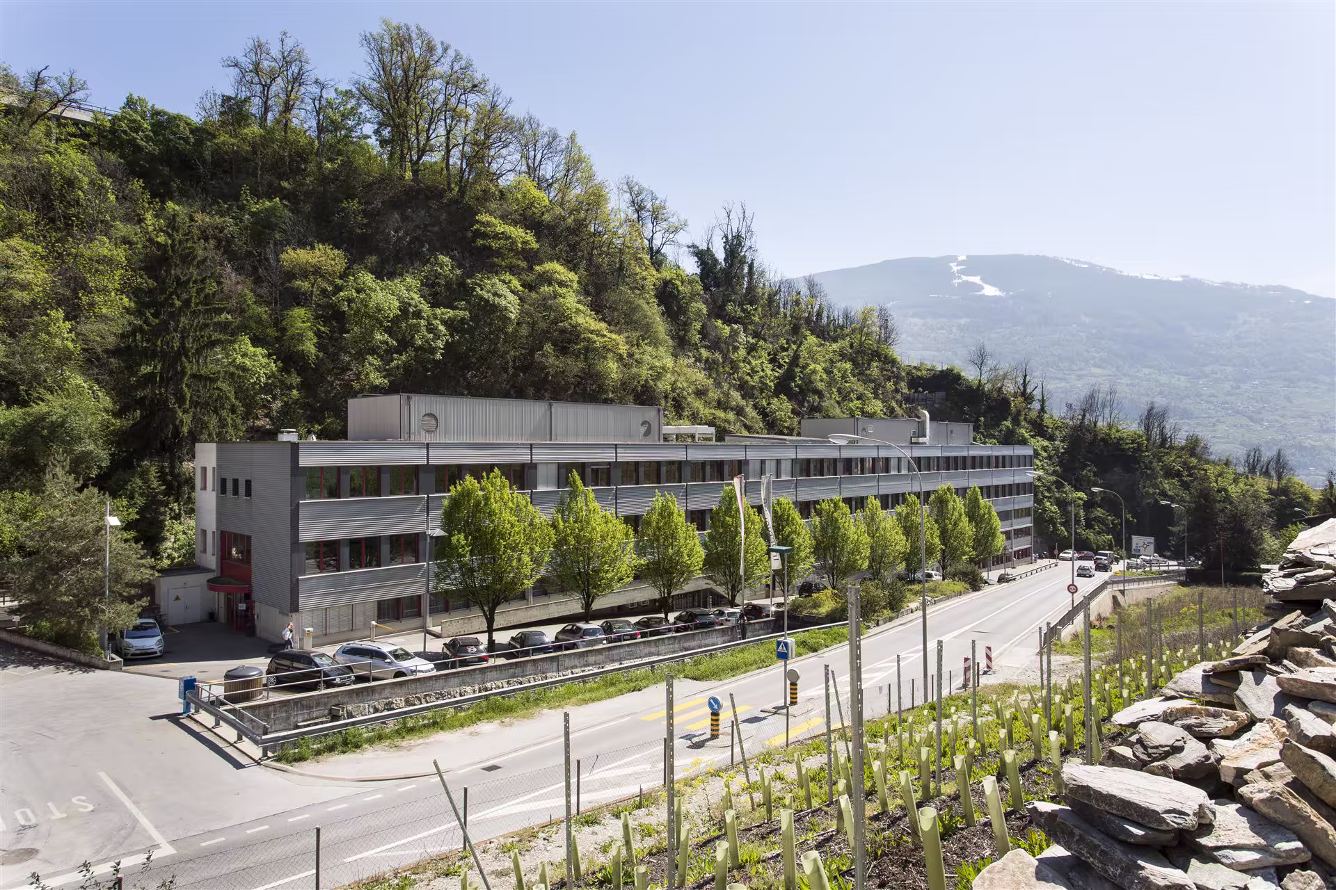 Bâtiment rectangulaire gris implanté au pied d’une colline boisée, bordé d’une route avec plusieurs voitures stationnées, vigne en premier plan.