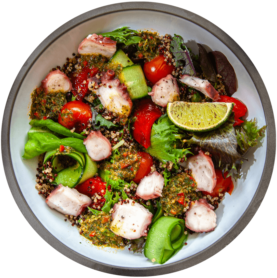 Dish Image