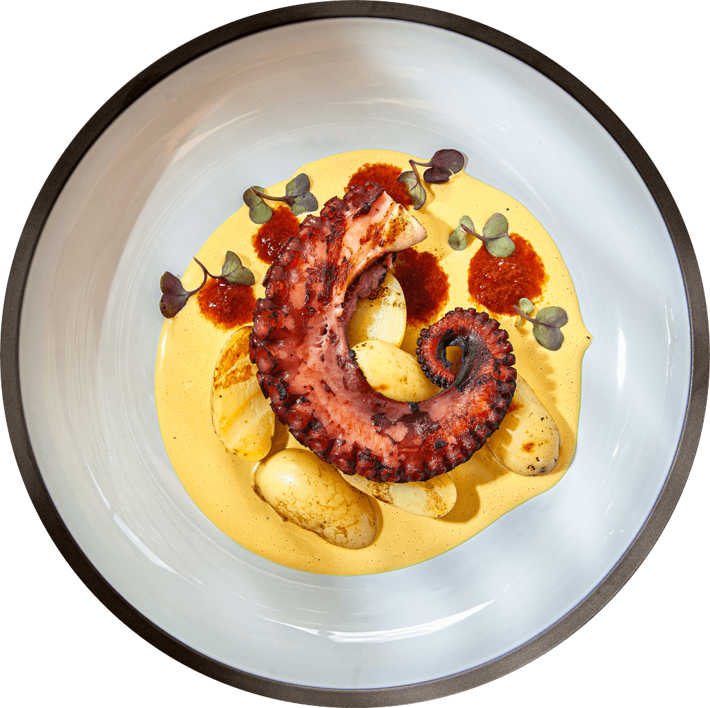 Dish Image
