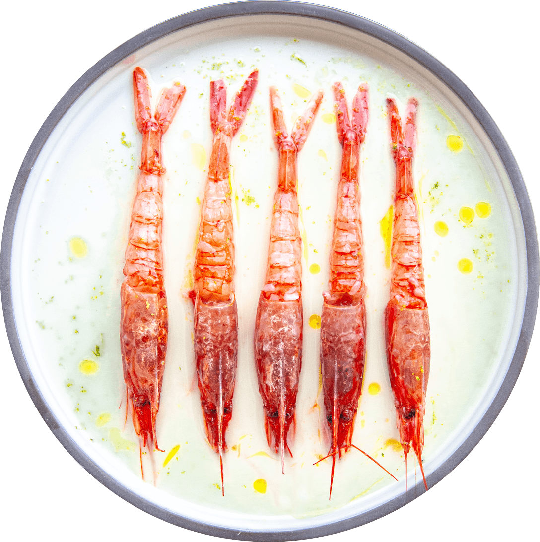 Dish Image
