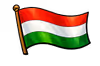 Waving flag with horizontal stripes of red, white, and green on a black background.