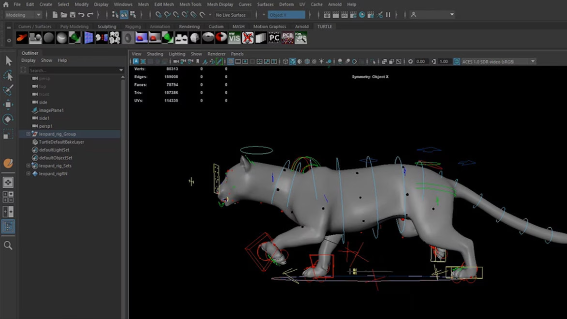 Build a Strong Foundation in Maya
