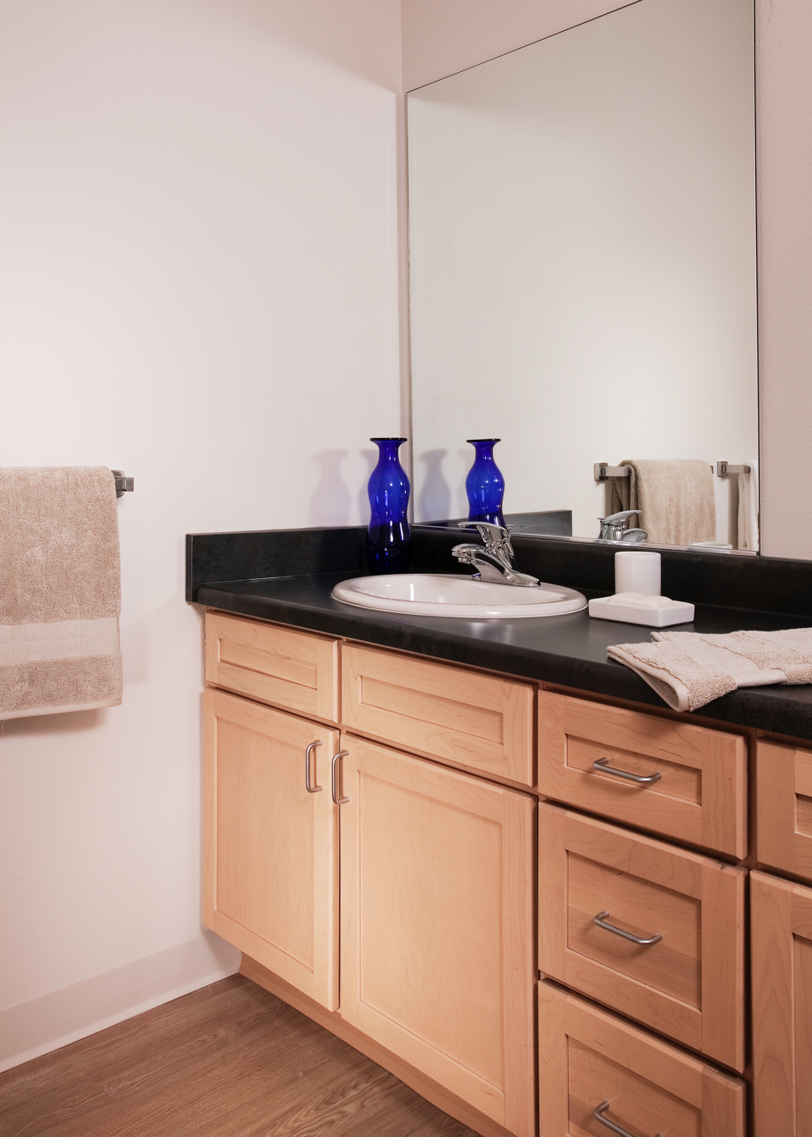 Bathroom with light wood cabinets and vanity