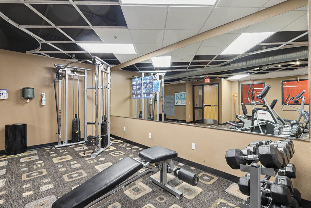Gym with weights