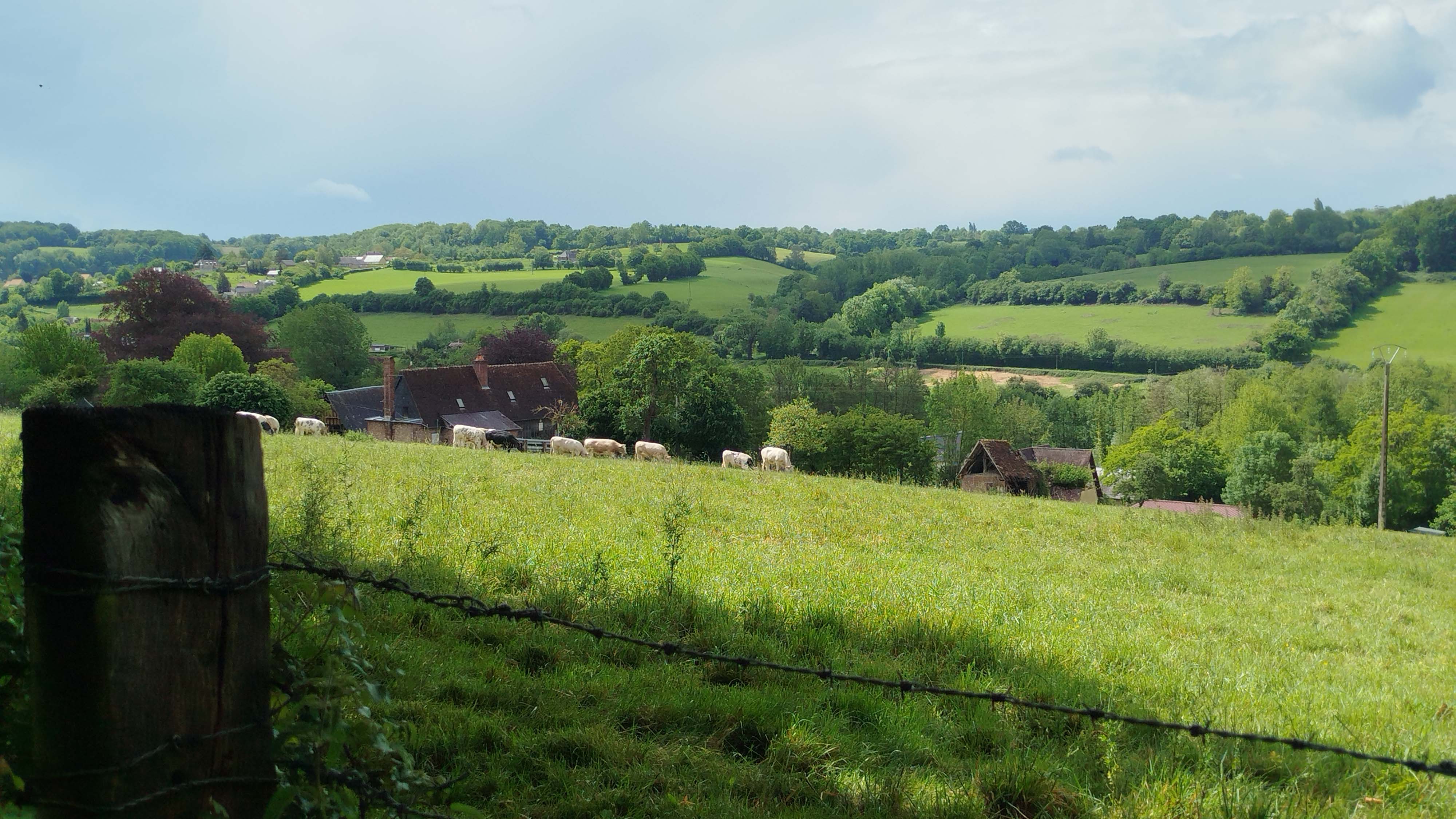 Paysage de campagne normande