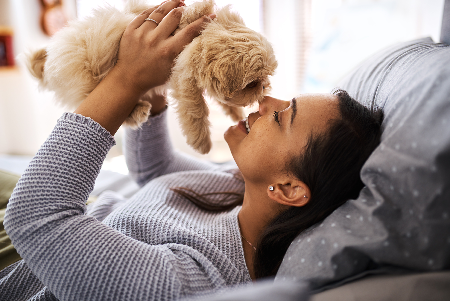 pet owner