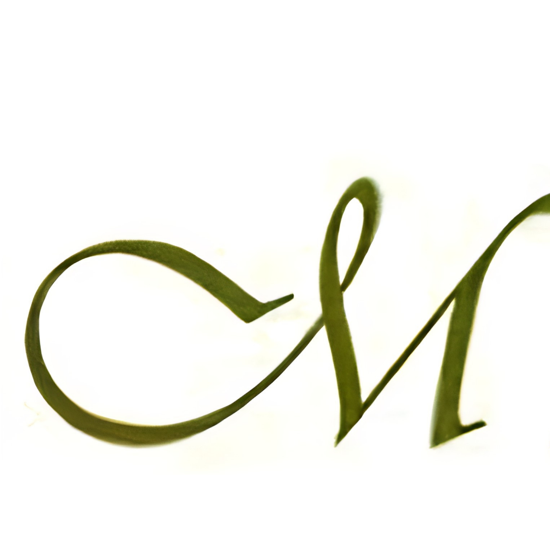 Background Logo