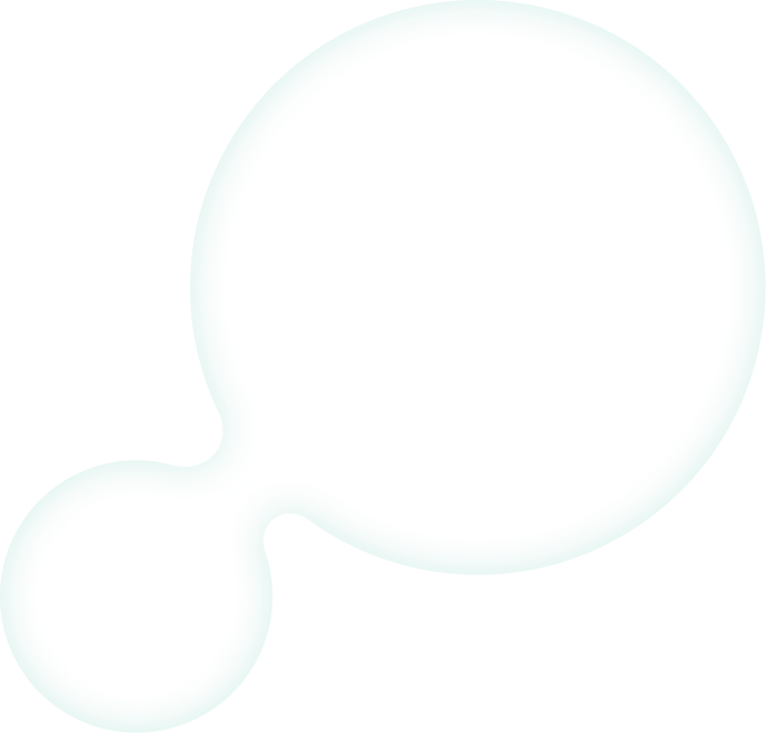 Bubbles
