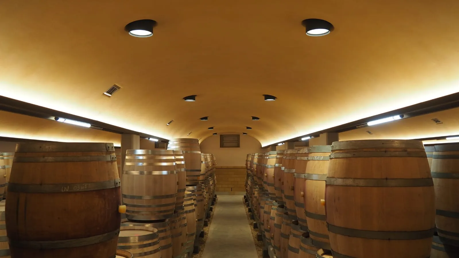 Voûtes en plâtre du chai à barriques du Domaine Dujac