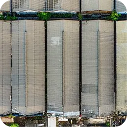 Aerial view of large, rectangular greenhouses with glass roofs and some surrounding greenery.