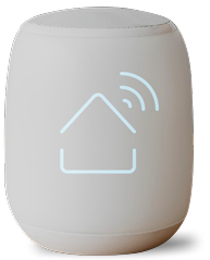 Smart Voice Access