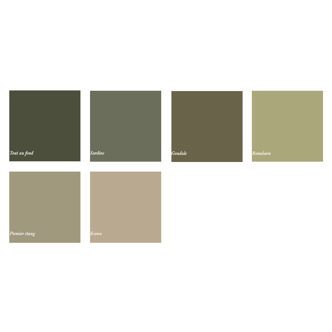 Palette de couleur présentant plusieurs nuances de marron