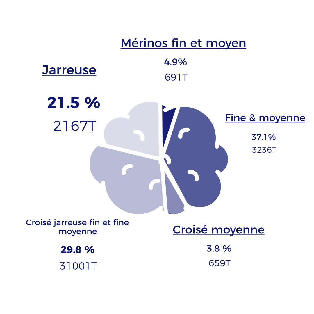 Visualisation des proportions de différents types de laine issus de l'étude de la filière lainière réalisée par CORYMBE DESIGN.  L'étude de la filière laine a permis d'identifier différentes qualités de fibres, avec une majorité de laines jarreuses.