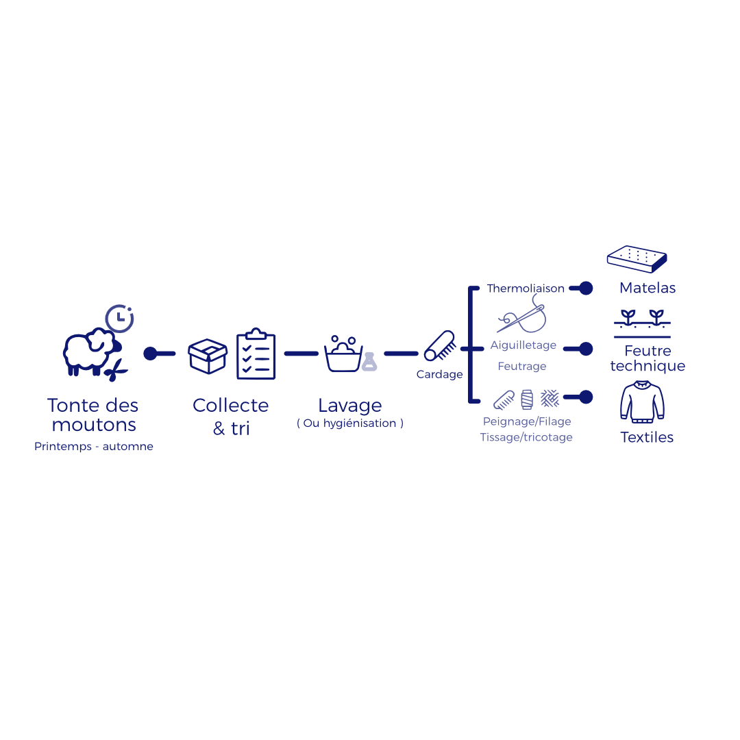Diagramme présentant la filière laine françcaise étudiés lors de l'enquête menée par CORYMBE DESIGN.