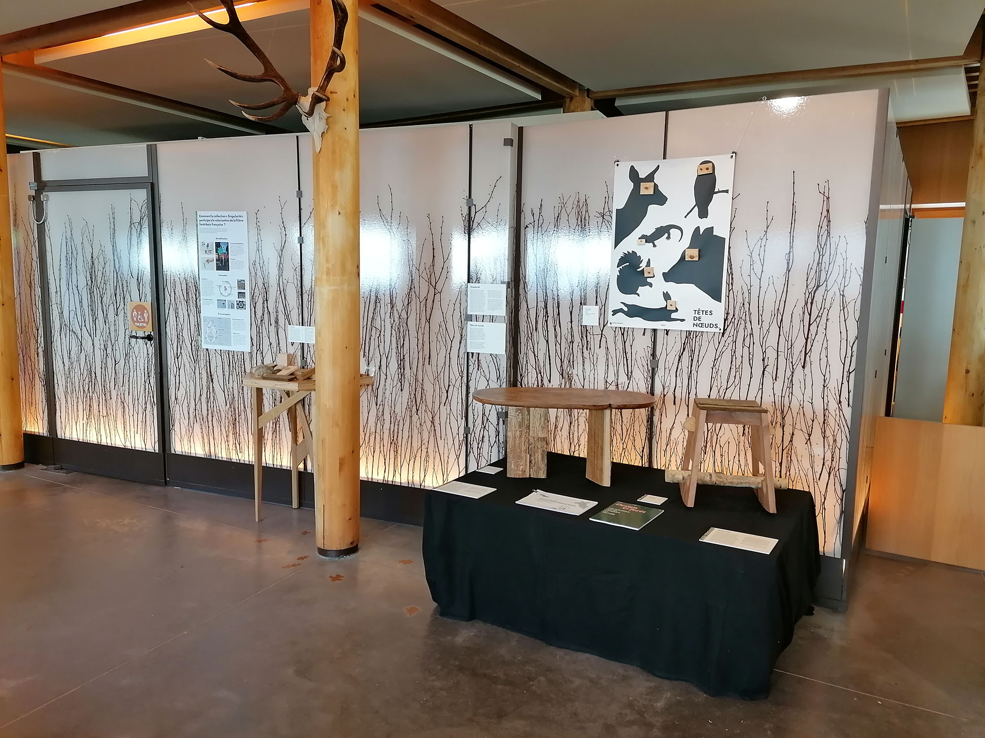 Scénographie de l'exposition au musée CARNUTA