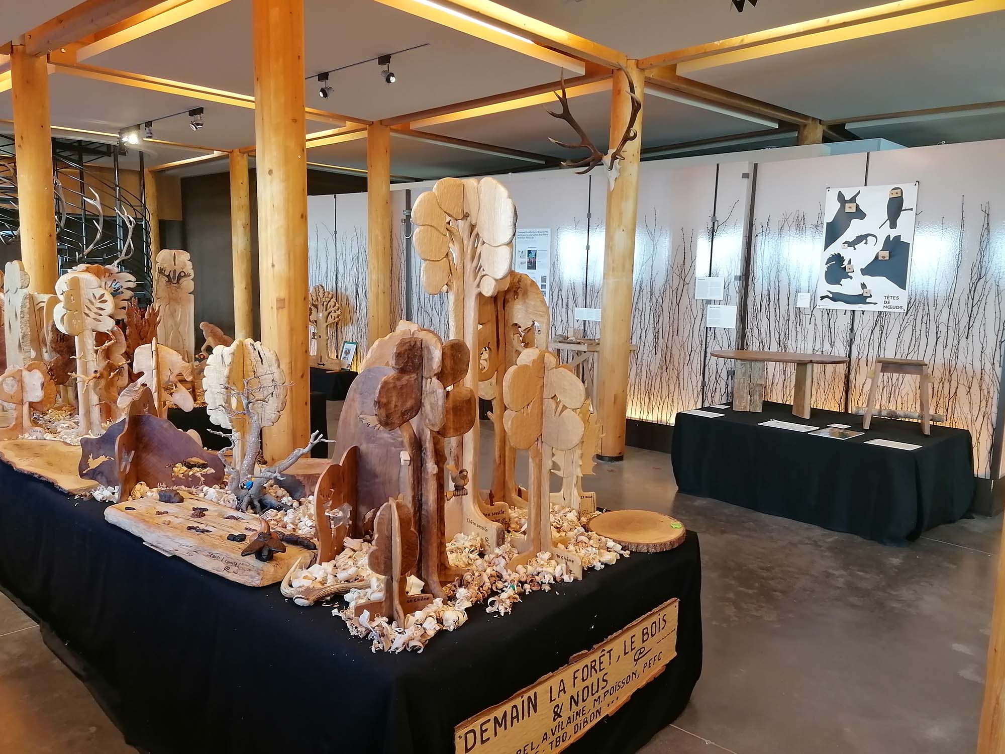 Scénographie de l'exposition au musée CARNUTA