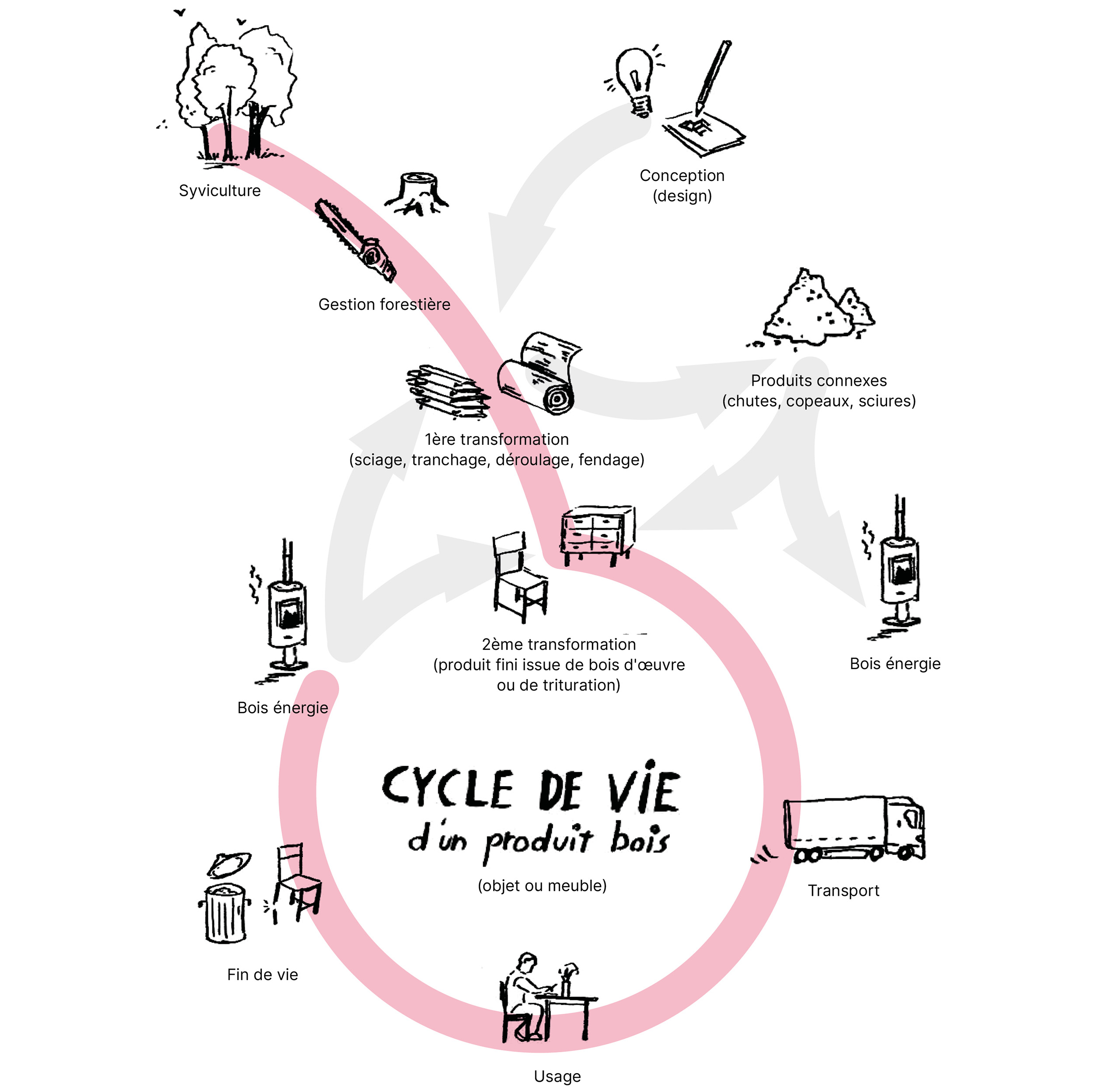 Schéma circulaire du cycle de vie d'un produit en bois