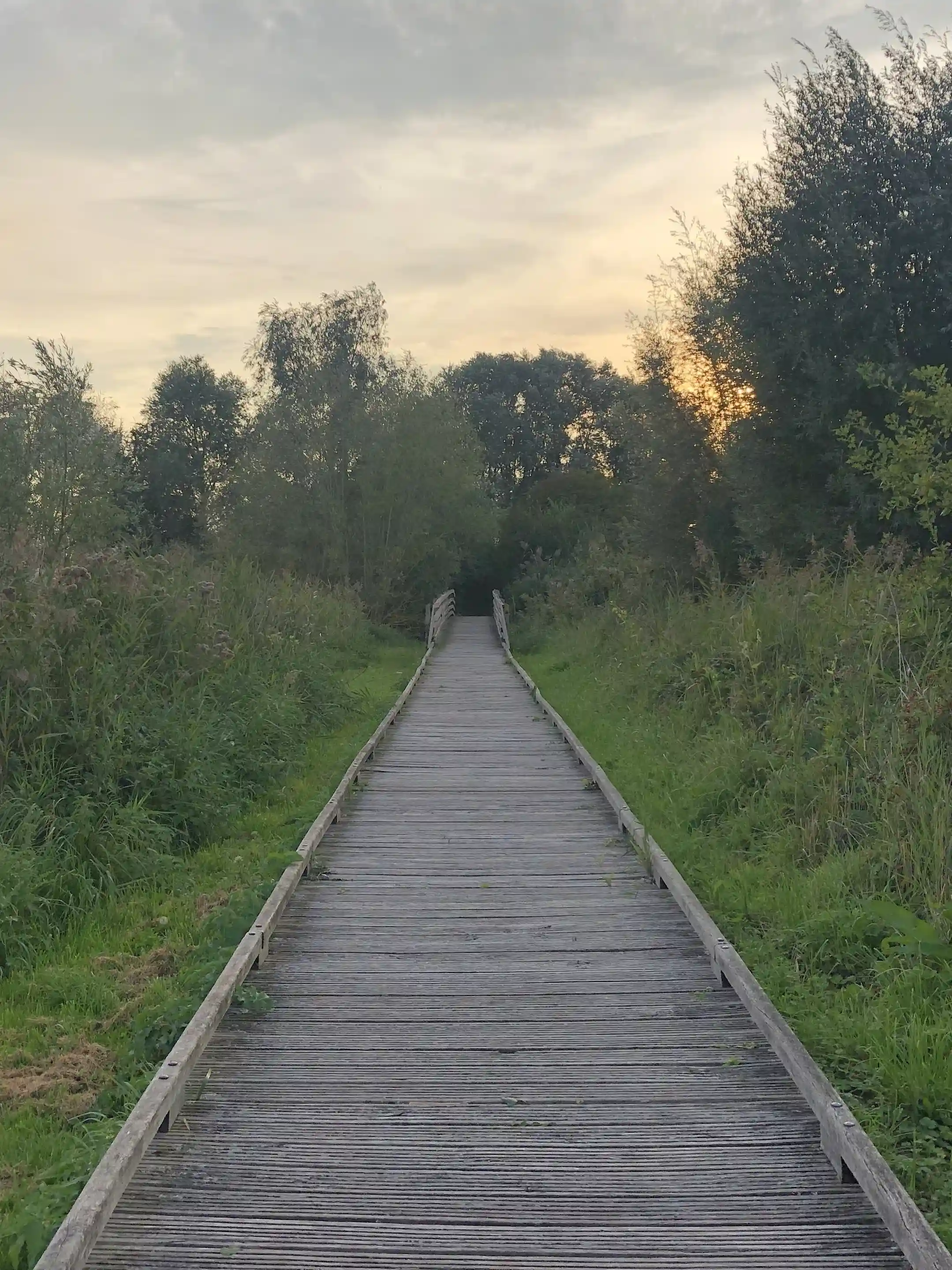 Chemin dans un paysage de campagne