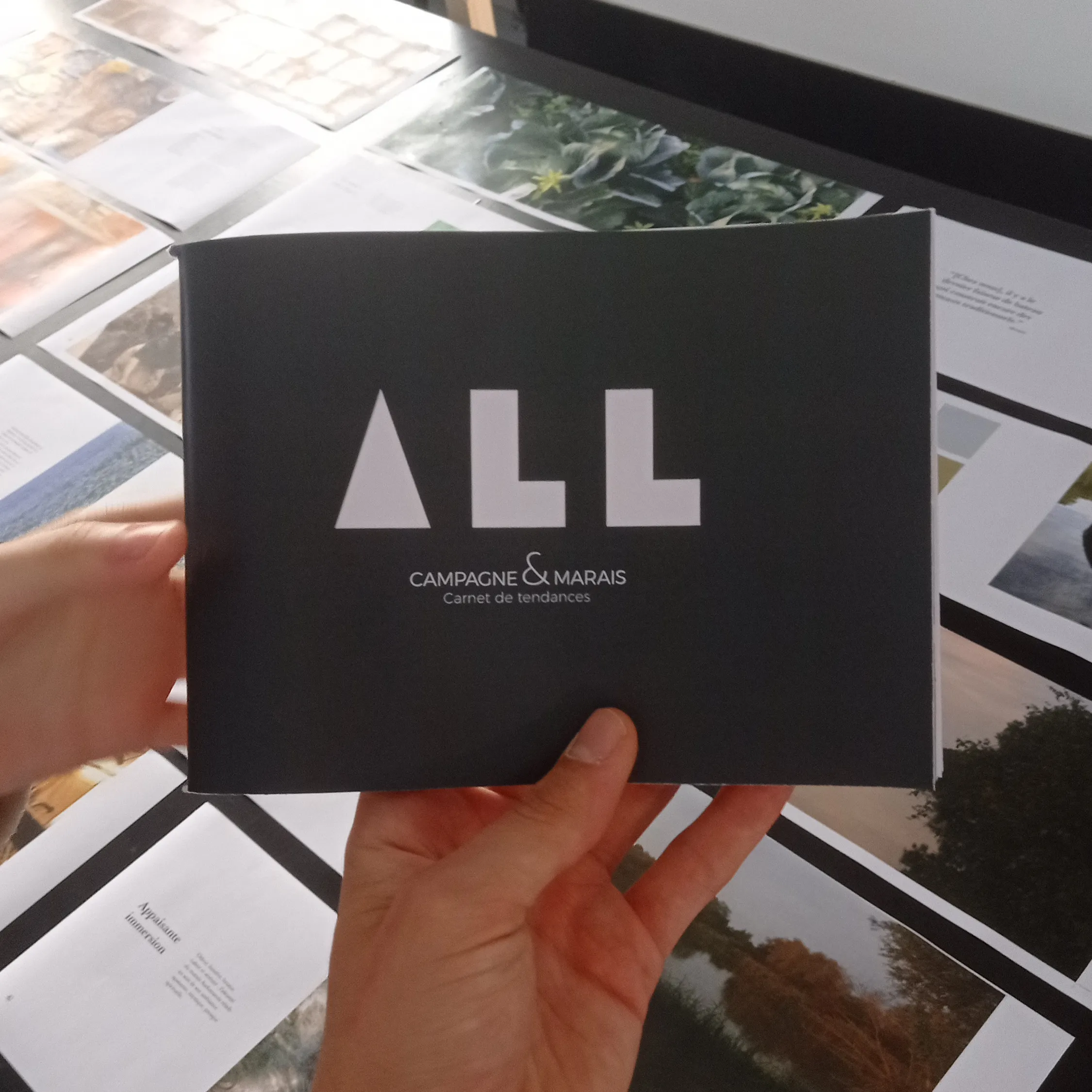 Couverture du document de présentation du projet pour la marque ALL