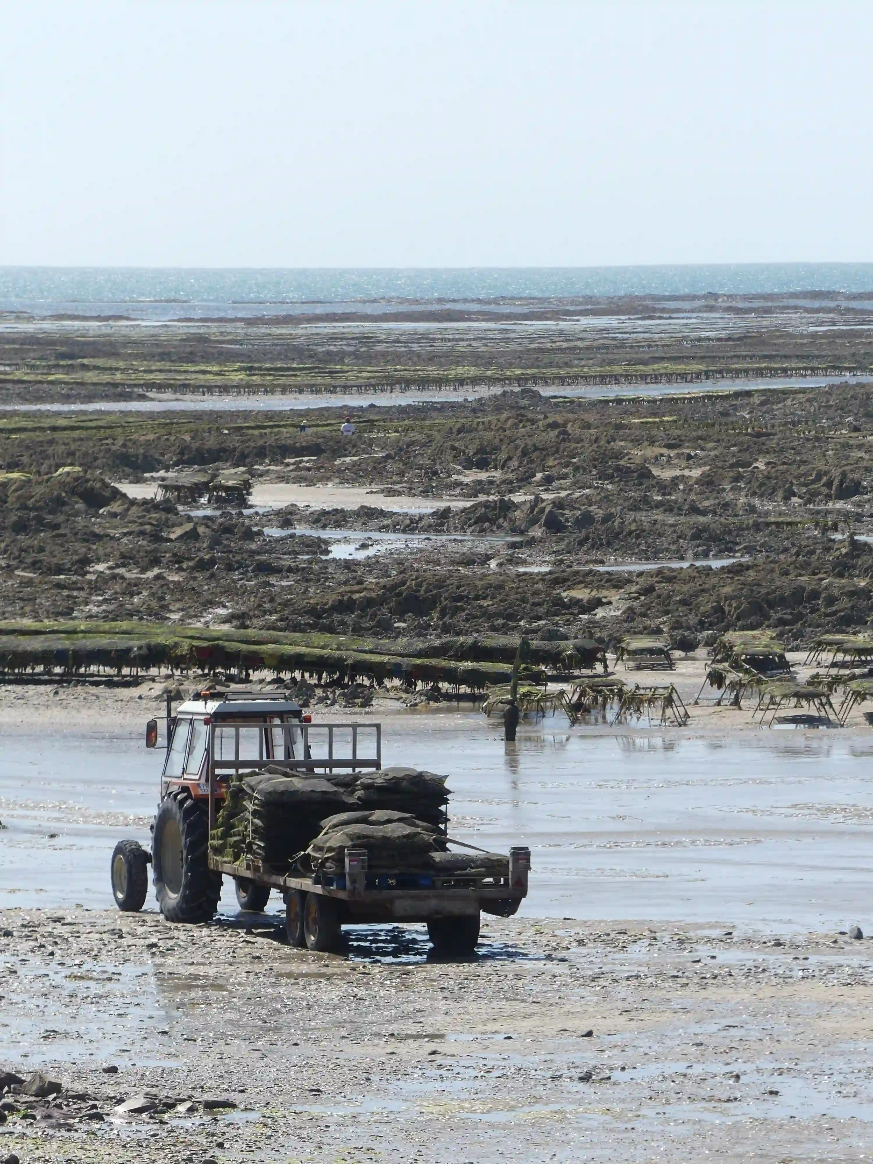 Tracteur dans un paysage de bord de mer en marée basse